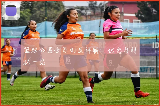 篮球公园会员制度详解：优惠与特权一览