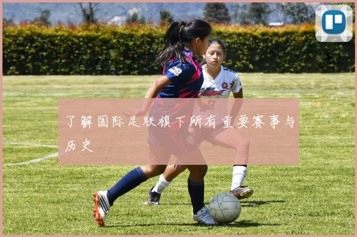 了解国际足联旗下所有重要赛事与历史