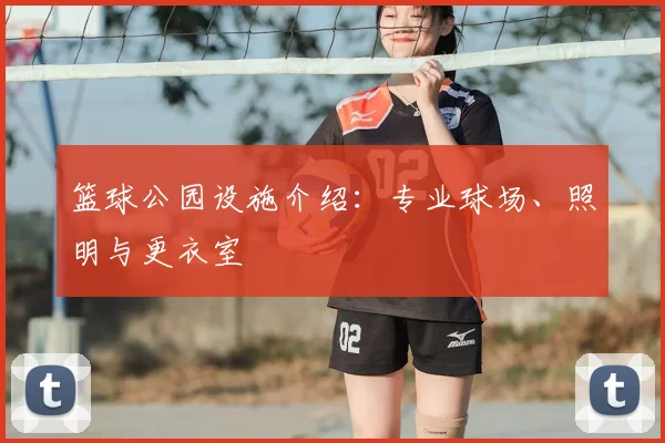篮球公园设施介绍：专业球场、照明与更衣室