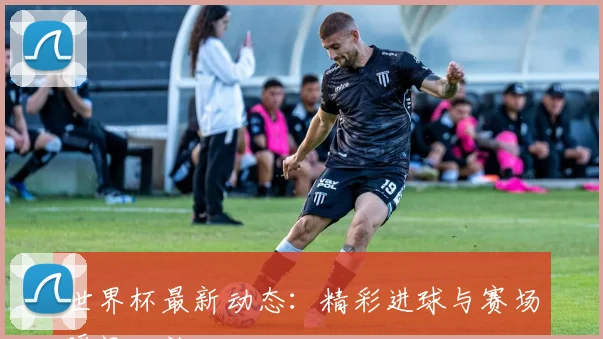 世界杯最新动态：精彩进球与赛场瞬间回放