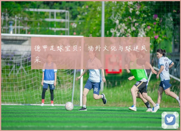 德甲足球宝贝:场外文化与球迷风采