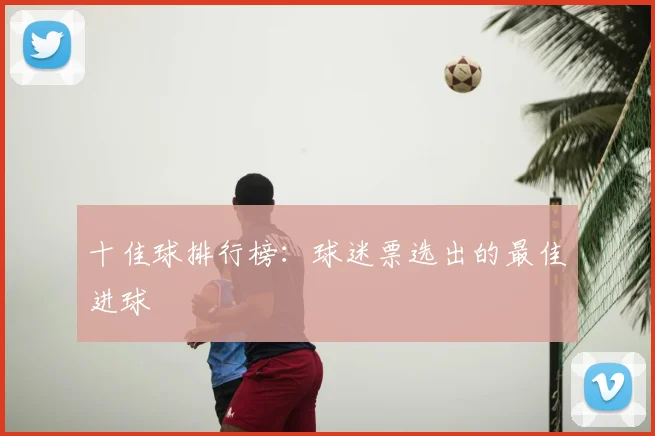 十佳球排行榜：球迷票选出的最佳进球