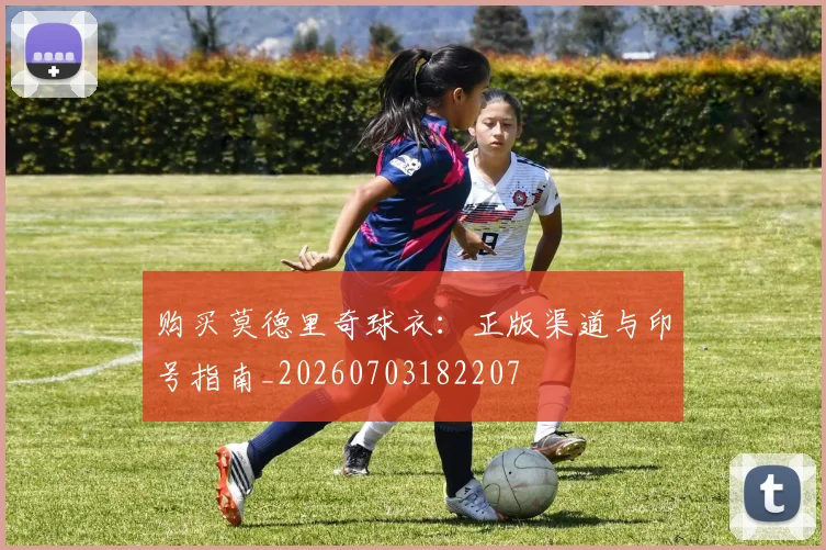 购买莫德里奇球衣:正版渠道与印号指南_20260703182207