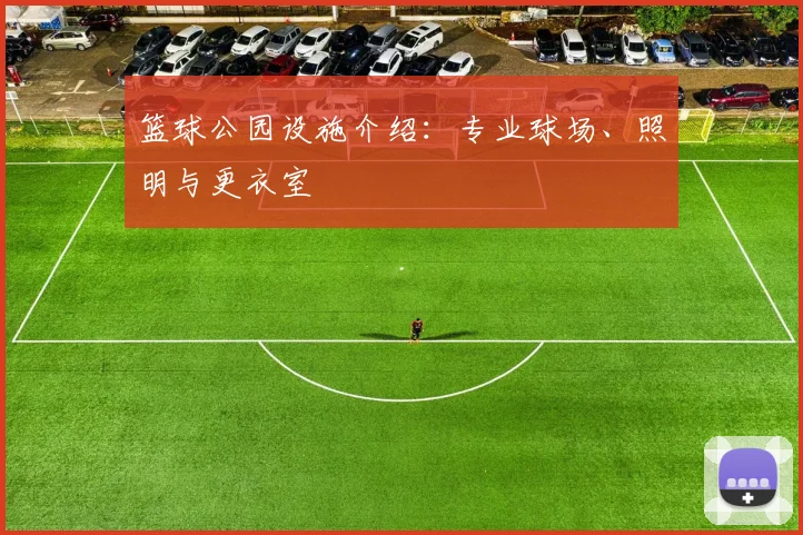 篮球公园设施介绍：专业球场、照明与更衣室