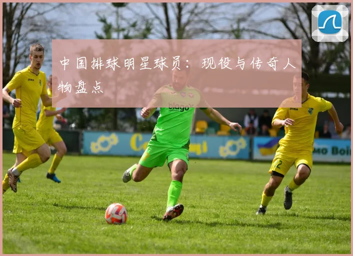 中国排球明星球员:现役与传奇人物盘点